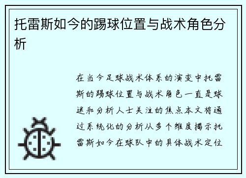 托雷斯如今的踢球位置与战术角色分析